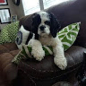 Meet your Posher, Melanie